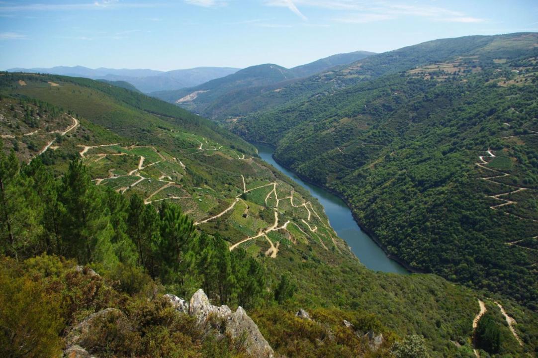 Apartamento Felicitas En La Casa De Cobos, Ribeira Sacra Puebla Del Brollon Eksteriør bilde