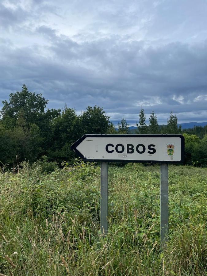 Apartamento Felicitas En La Casa De Cobos, Ribeira Sacra Puebla Del Brollon Eksteriør bilde